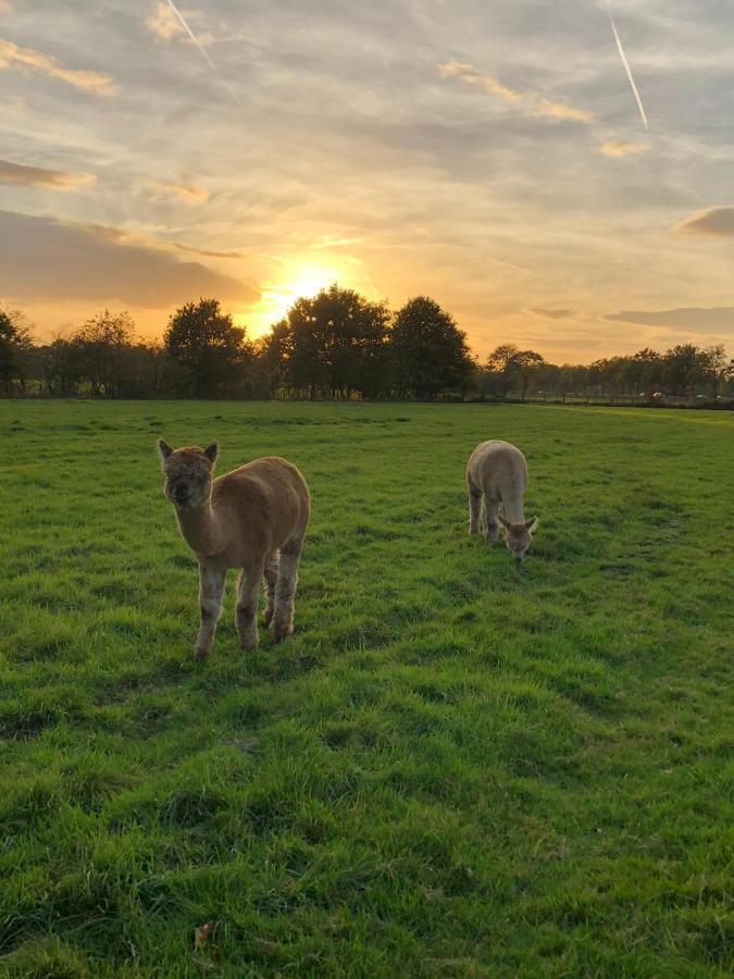 Grutsk Op 12 Bed & Breakfast Drachten Luaran gambar